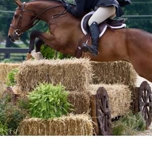 Meet your Posher, Kacy